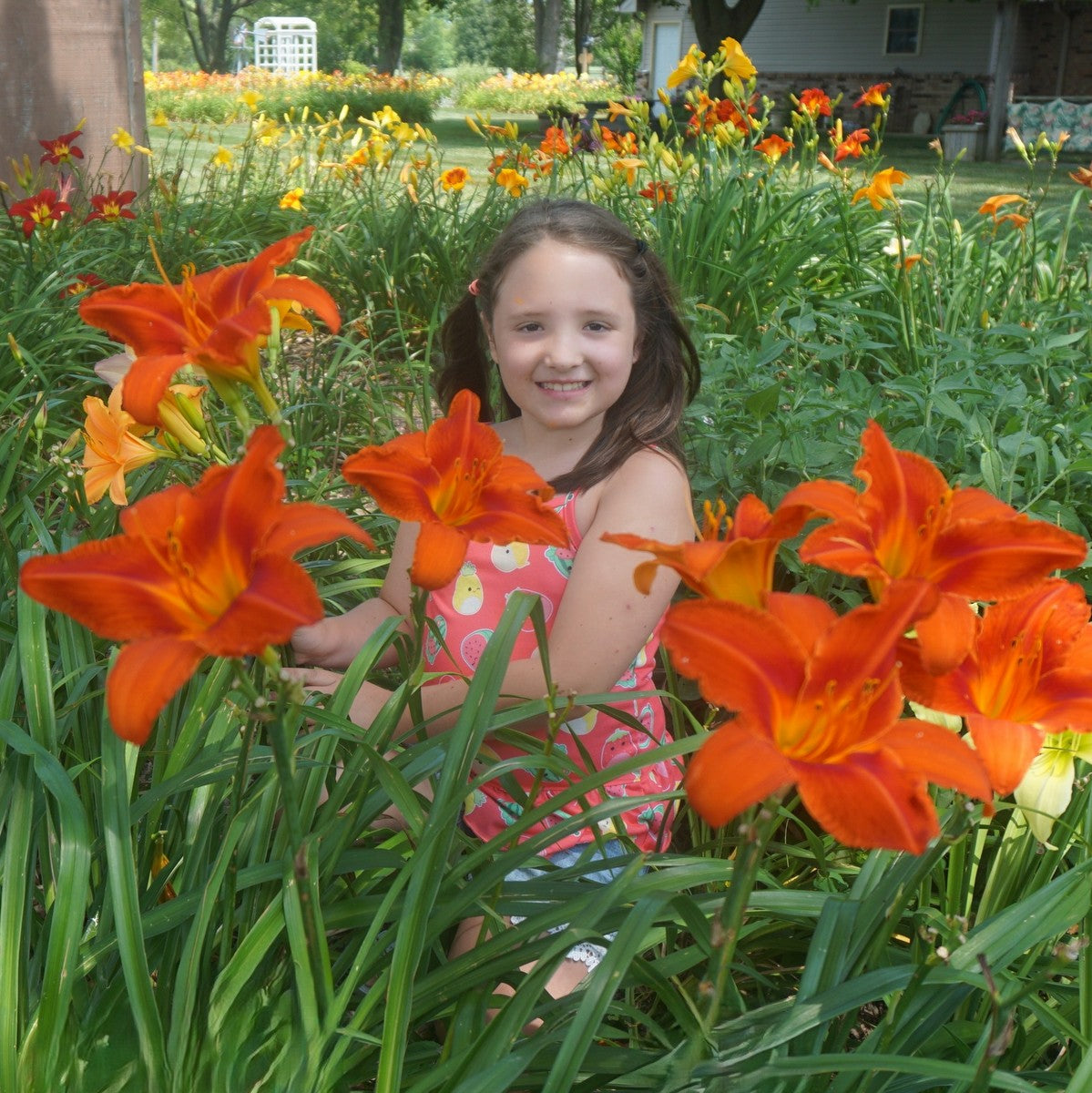 Oakes Daylilies Alabama Jubilee Daylily - Thumbnail 5