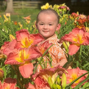 Hush Little Baby Daylily from Oakes Daylilies