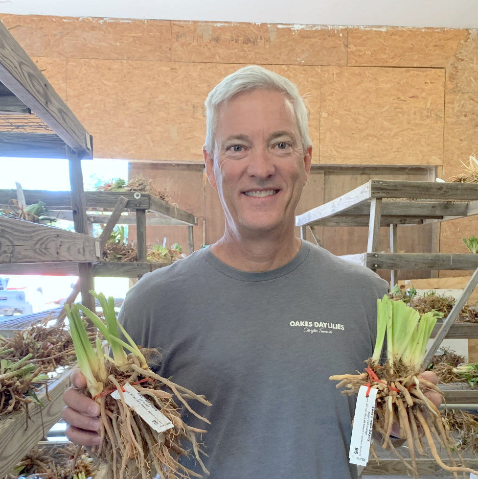 Ken Oakes holding bare root daylilies at Oakes Daylilies