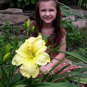 Quit Fussing Daylily from Oakes Daylilies