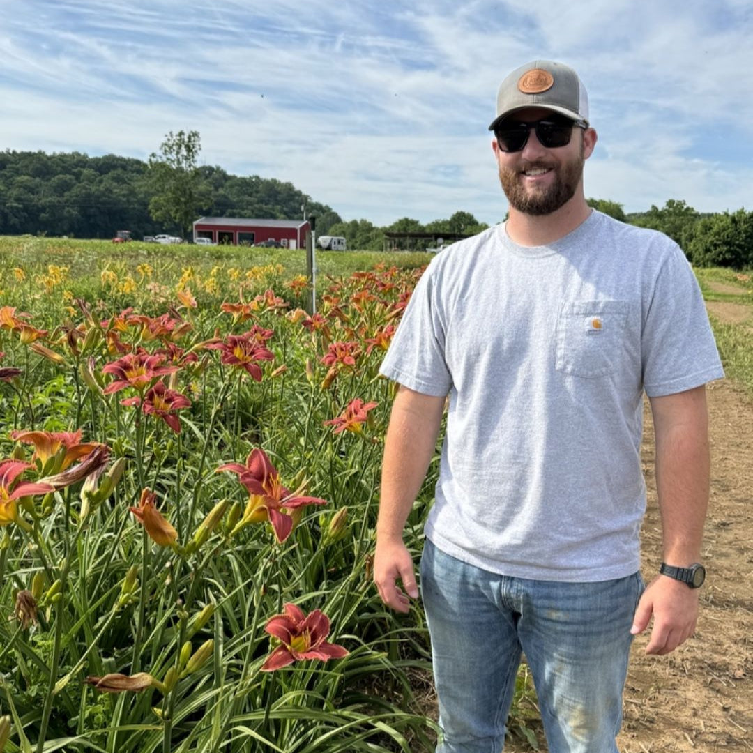 The Spice Must Flow Daylily | Super Tall Beauty | Oakes Daylilies