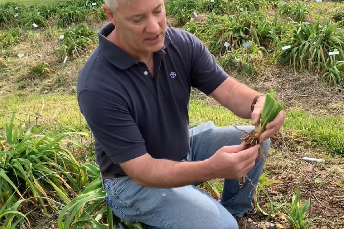 Are You a Visual Learner?